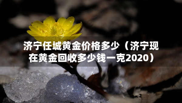 济宁任城黄金价格多少（济宁现在黄金回收多少钱一克2020）