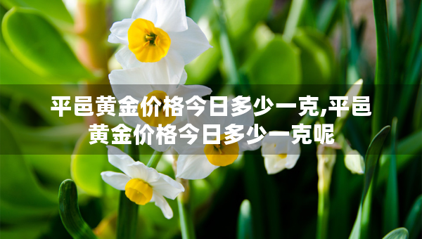 平邑黄金价格今日多少一克,平邑黄金价格今日多少一克呢