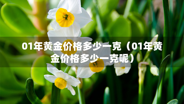 01年黄金价格多少一克（01年黄金价格多少一克呢）